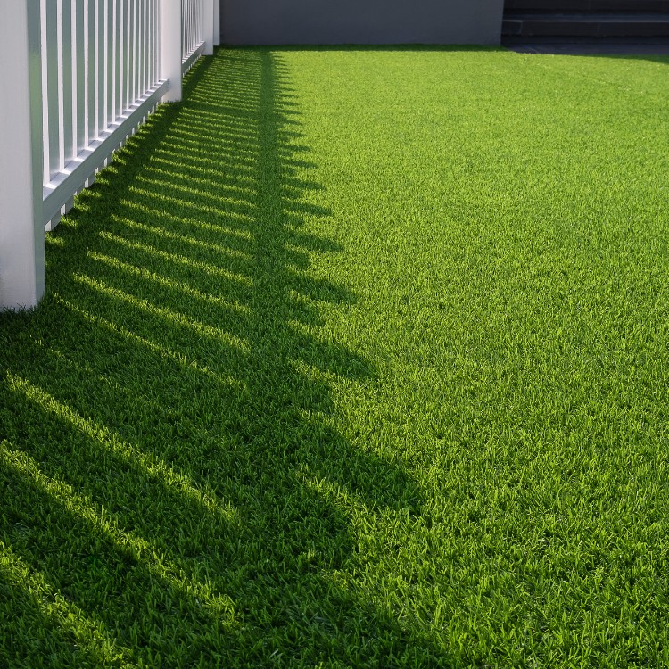 Lawn Maintenance Services in Colorado Springs, CO Lawn Maintenance Services in Colorado Springs, CO