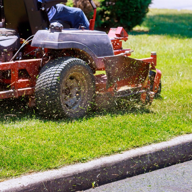 Lawn Maintenance Services in Colorado Springs, CO Lawn Maintenance Services in Colorado Springs, CO